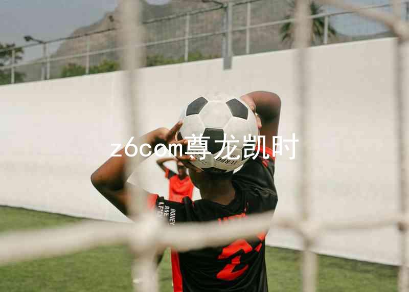 z6com尊龙凯时